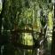 images/galerie/pont_1000p.jpg